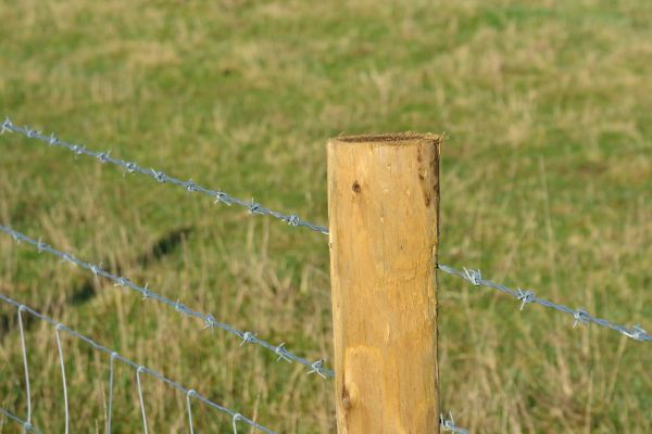 Exterior Post Replacement