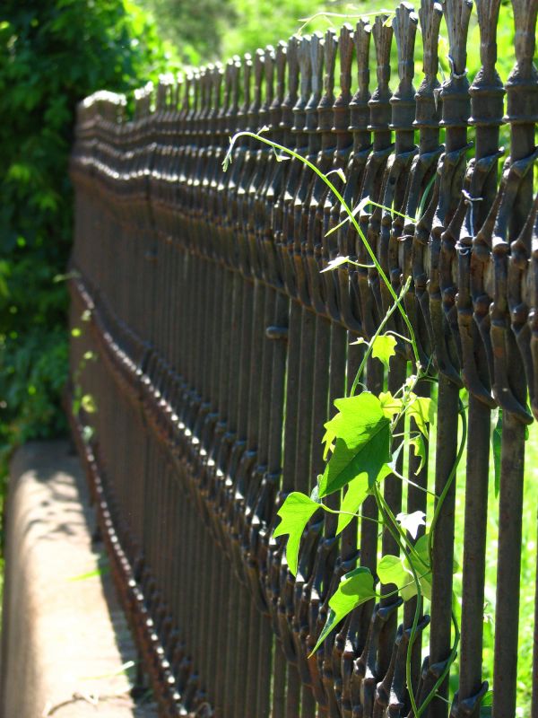 Iron Fence Construction in Alpharetta, GA