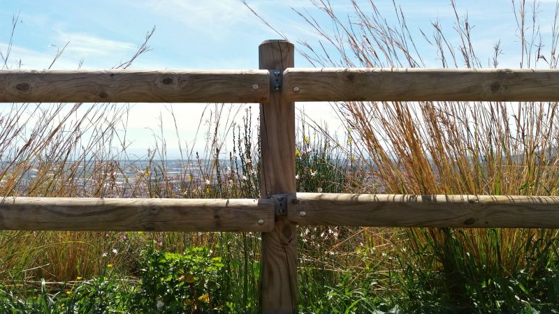 Redwood Fence Installation in Pearland, TX