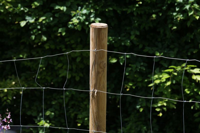 Wood Fence Construction in Pearland, TX